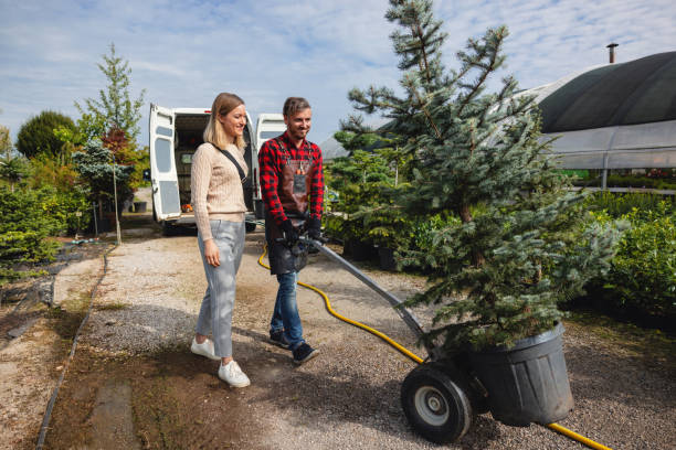 Best Pest Control for Lawns  in Van Alstyne, TX